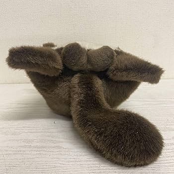 Amazon.co.jp: たぬきのたま吉 M ぬいぐるみ ヴィンテージ FIRST 現状